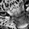 stther01