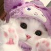 chaaaaaa26_