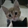 lilythegirl09