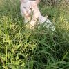 delya4571910