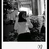 pratiwi.triynto