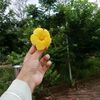 anjal.mim59