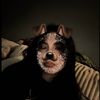 kendra_131013