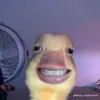 Pê tê z lu si