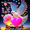 yeasin_arafat6504
