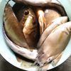 alikuchi8