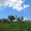delgash.sgeri