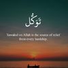 voice.of.quran562