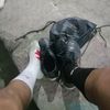alvin_11263