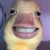 qhieukhmdn0