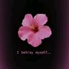 contsecret.14
