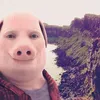 jdjsbsbsbsjf