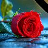 themarie.ranalo