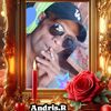 user40481742723522