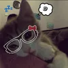 _chipp2100