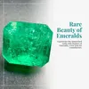 gem.distric
