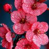 user51005506929192