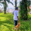 tame_las_19