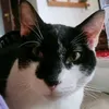 yurtoblecothesecond