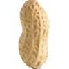 mrwalnutz1