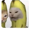 ._jazchu_2