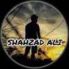 shahzadali504948
