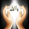 user29101429518455