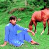 tanveermuhammad204