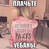 amelia_n445