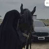 elaraa0011
