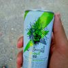 habib.sayah
