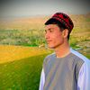 najib.nazari61