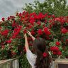 nada.ashraf529