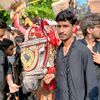 syedhasnain4847