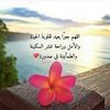 user61461977787746