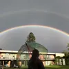 philipp.mller31