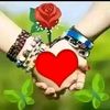 user325778257800316