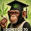 donald.chimp