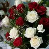 user51180570234296