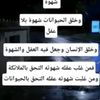 user6628400197736