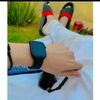 dawood.alvi2