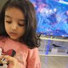 hajar.adeel