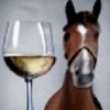 horse_298
