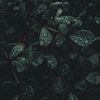 vrh5_0