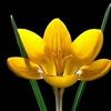 user78205652581913