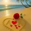 user29904937031652