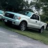 5.0shane