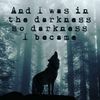 badwolf9233