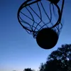 vandeboys69