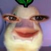 princessspinkyyo00utt